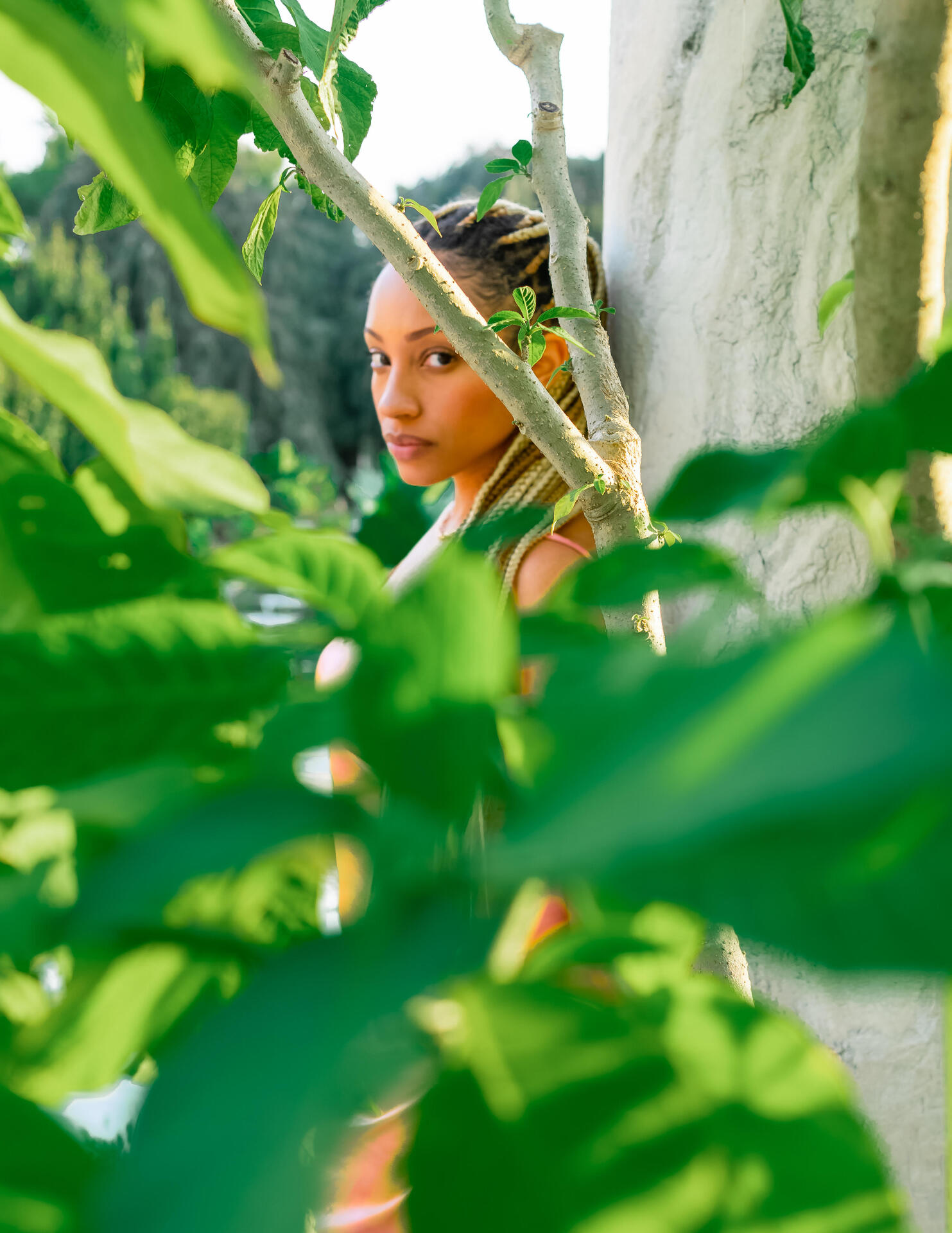 Captured by Steven Leclerc